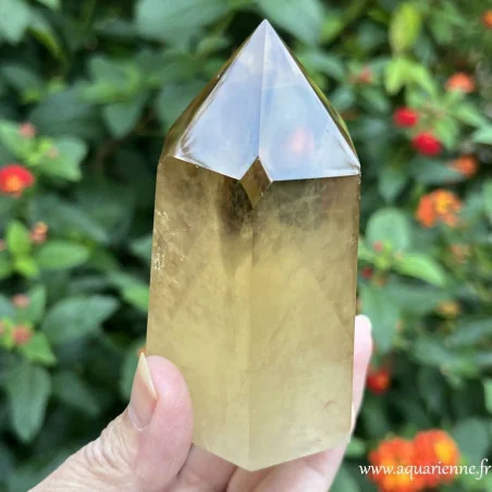 Face de la pointe de Citrine avec losange caractéristique du Maître Cristal Fenêtre