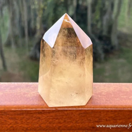 Citrine naturelle de Madagascar, grande pointe repolie de 10 cm de hauteur. Joie, abondance, manifestation.
