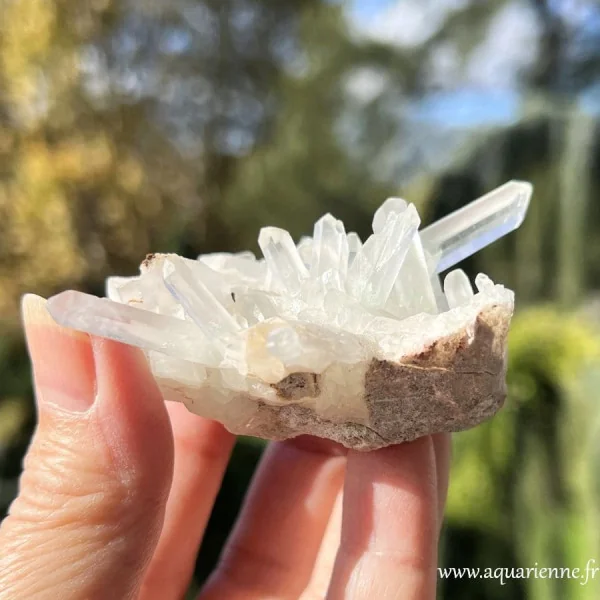 Quartz clair ou Cristal de roche de Madagascar, druse brute sur sa roche-mère.