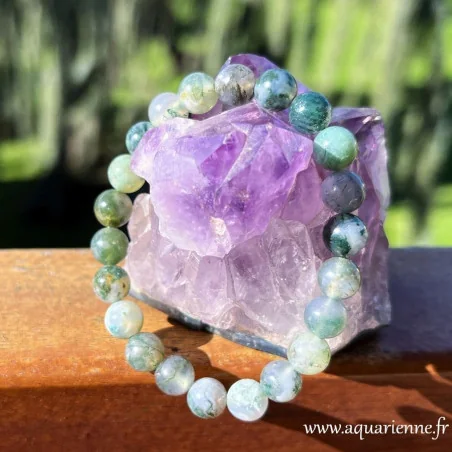 Bracelet en Agate Mousse AA+ perles rondes 8 mm. Abondance, prospérité, ancrage.