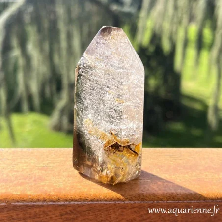 Cristal de quartz Golden Healer avec quartz fumé à sa base. Pièce unique.