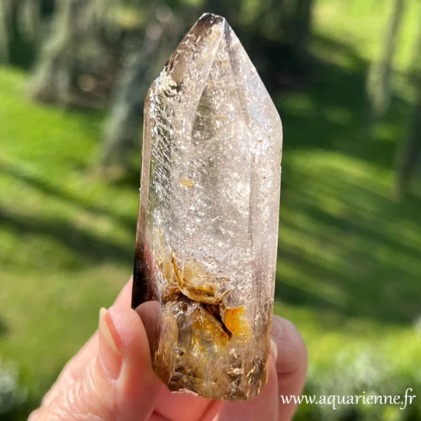 vue rapprochée des inclusions de limonite dans ce cristal Golden Healer, quartz énergétique