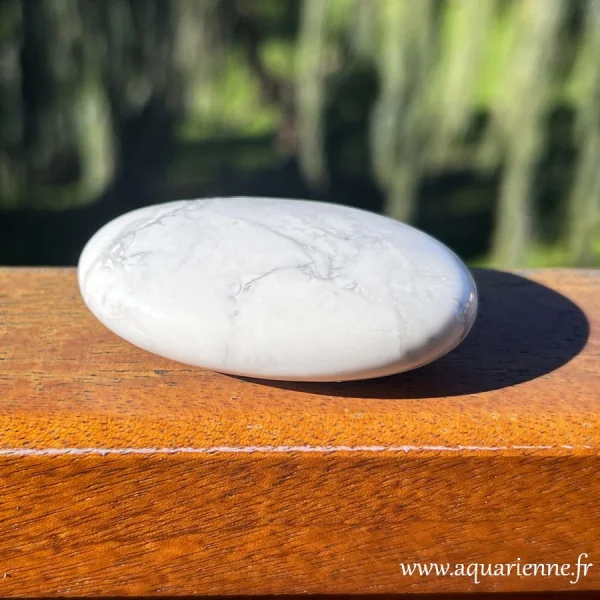 pierre howlite blanche galet poli pour méditation et relaxation