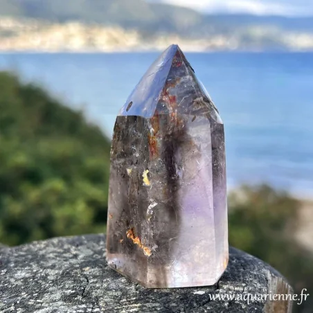 Détail fantôme Améthyste violette dans pointe de quartz fumé naturel à inclusions