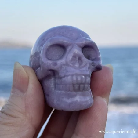 Sérénité sculptée dans la pierre : Découvrez ce crâne en Lépidolite. Méditation, protection, introspection, collection...