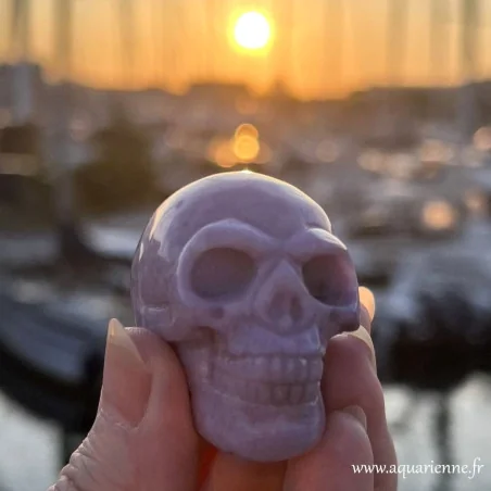 Yasmina - Crâne de 52 mm en Lépidolite est en attente de sa Gardienne.