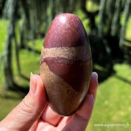 Shiva Lingam naturel 8,7 cm 235 g pierre sacrée Inde