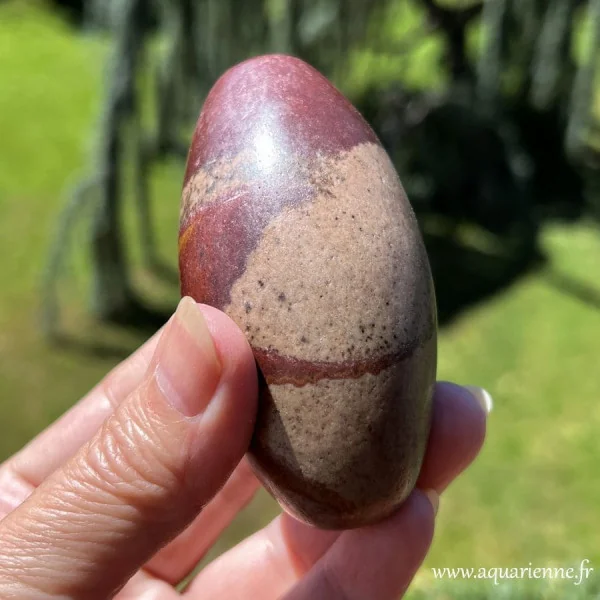 Pierre Shiva Lingam lithothérapie équilibre yin yang