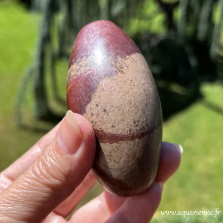 Pierre Shiva Lingam lithothérapie équilibre yin yang