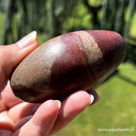 Shiva Lingam vue de profil pierre énergétique naturelle
