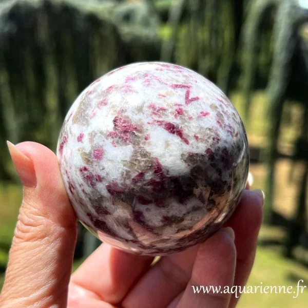 Détails des inclusions de Rubellite rouge dans le Quartz