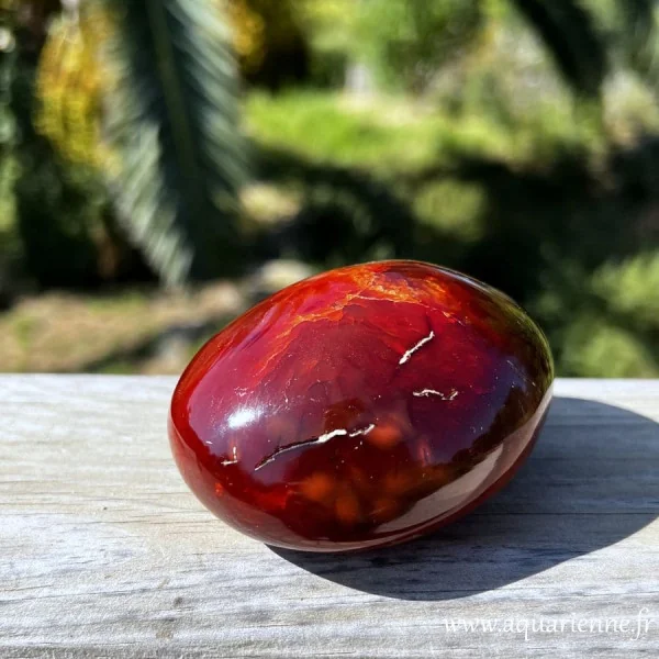 Pierre de Cornaline de Madagascar, gros galet poli main avec inclusions et cavités naturelles. Vue de dessus.