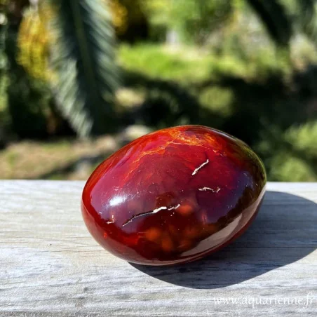 Pierre de Cornaline de Madagascar, gros galet poli main avec inclusions et cavités naturelles. Vue de dessus.