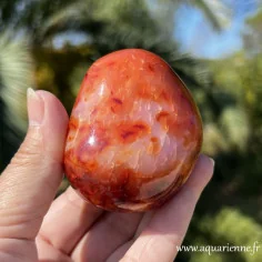Zoom sur les jolis motifs uniques créés par la nature sur ce galet de Cornaline naturelle poli main. Pièce unique.