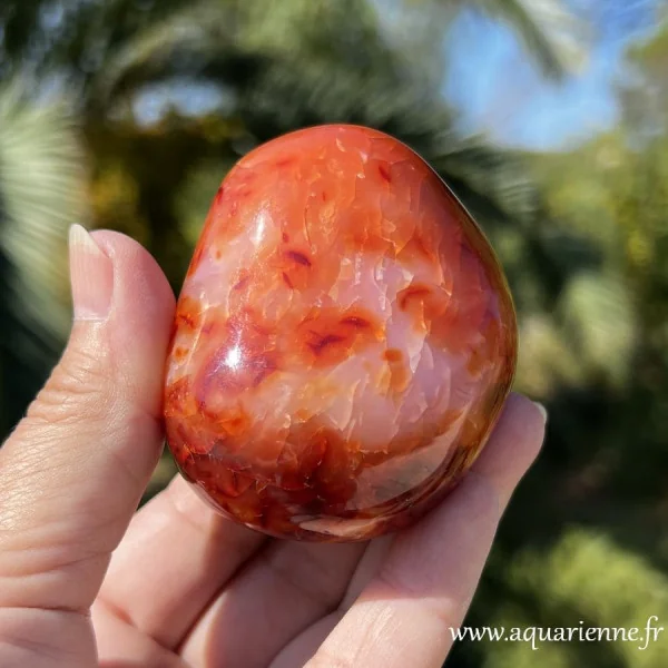 Zoom sur les jolis motifs uniques créés par la nature sur ce galet de Cornaline naturelle poli main. Pièce unique.
