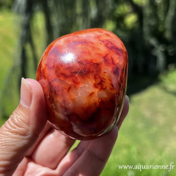 Galet de Cornaline naturelle poli main. Pièce unique sélectionnée avec soin pour accompagner vitalité, créativité au quotidien.