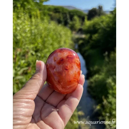 Photo de ce galet de Cornaline pièce unique capturée à la lumière naturelle du jour dans un parc