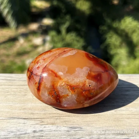 Vitalité, courage, créativité, succès avec la pierre de cornaline. Galet de Cornaline poli main : 83 mm - 360 g. Pièce unique