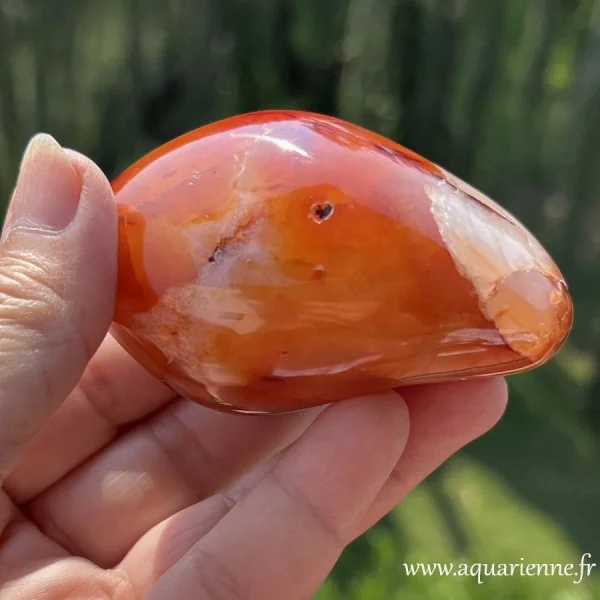 Galet de Cornaline naturelle profil latéral