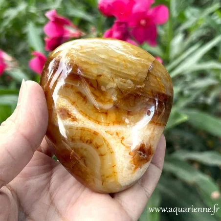 Galet de Cornaline naturelle poli main. Pièce unique pour accompagner vitalité, créativité et bien-être au quotidien.