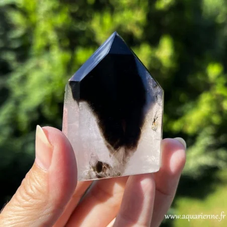 Pointe de Quartz Morion à Fantôme Gardien du Temps 59 mm pièce unique