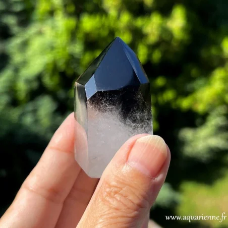 Quartz Morion à Fantôme avec losange Gardien du Temps