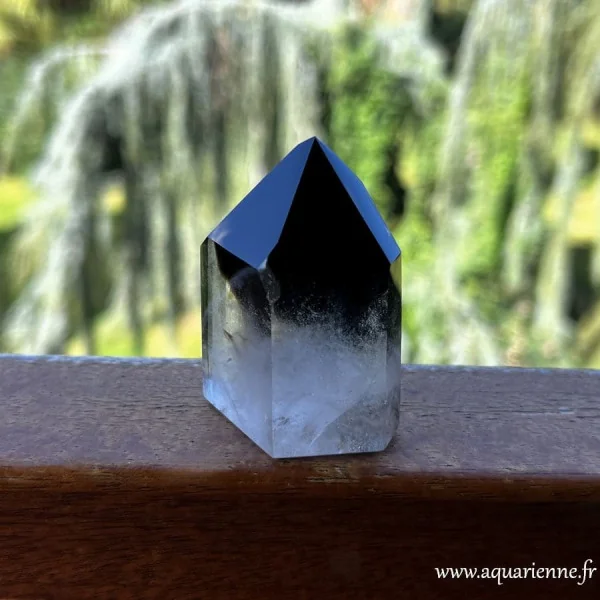 Cristal Maître Quartz Morion noir et blanc de Madagascar