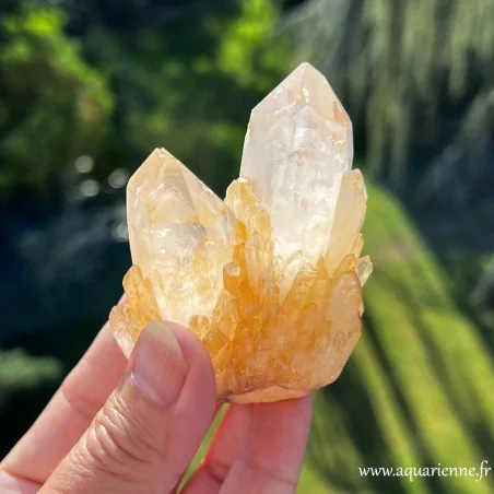 Cluster Quartz Céleste doré de Madagascar - Spécimen brut 174g | 75 mm