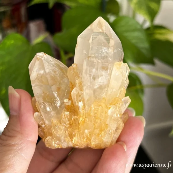 Groupe de cristaux de 7,5 cm de haut et 174 g Quartz Céleste doré de Madagascar - Pièce unique