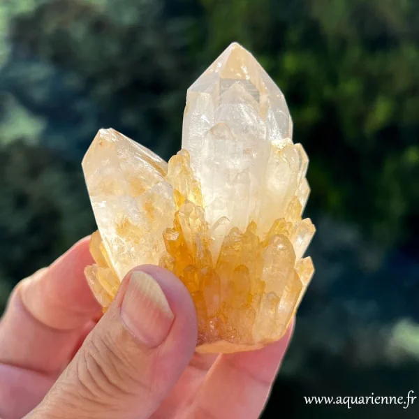 Quartz ananas ou quartz céleste doré de Madagascar - Amas cristallin brut - Pièce unique