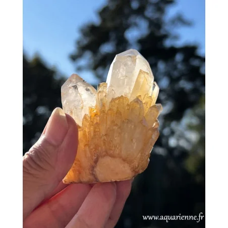 Vue du dessous de ce Quartz Céleste doré de Madagascar pièce unique telle que sur les photographies
