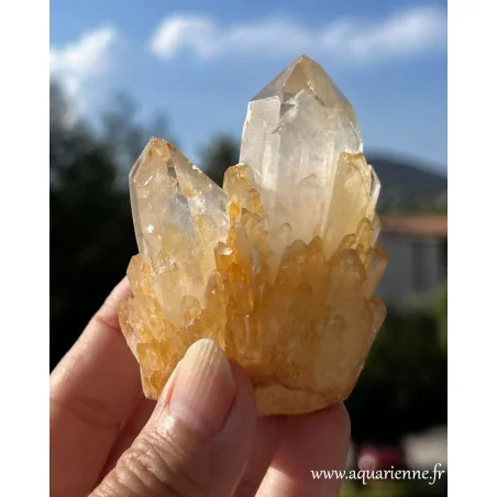 Variété assez rare de Madagascar de Quartz céleste doré - Spécimen unique