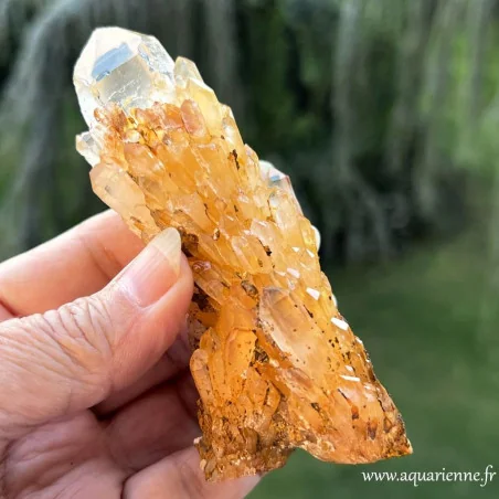 Pointe quartz céleste doré de Madagascar - Pièce unique 10 cm de hauteur.