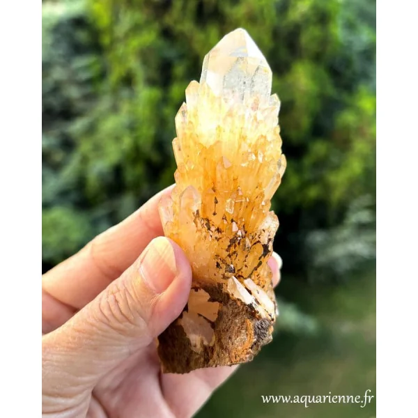 Spécimen unique de Quartz Céleste doré ou Quartz Ananas de Madagascar.
