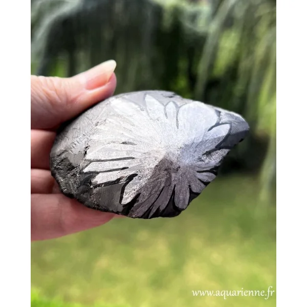 Pierre Chrysanthème brute une pierre naturelle aux motifs floraux dessinés par la nature. Pièce unique 150 g.