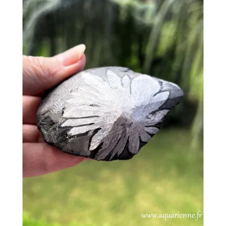Pierre Chrysanthème brute une pierre naturelle aux motifs floraux dessinés par la nature. Pièce unique 150 g.
