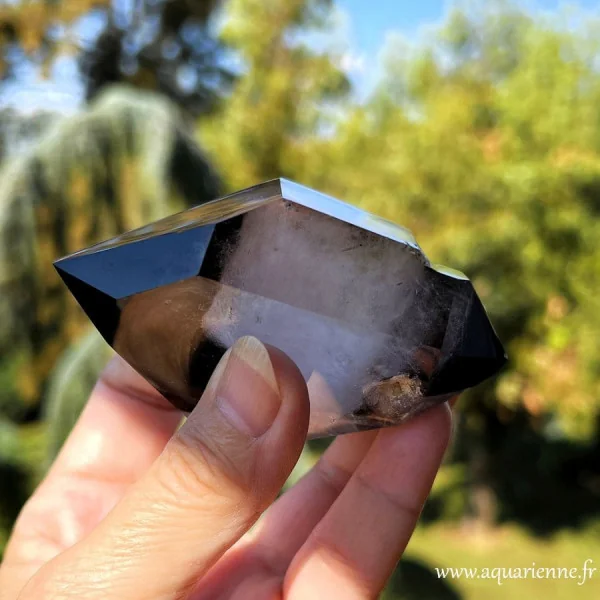 Pointe double de Quartz Morion avec inclusions naturelles