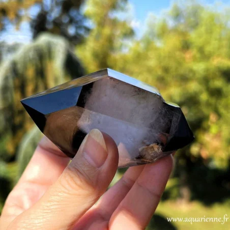 Pointe double de Quartz Morion avec inclusions naturelles