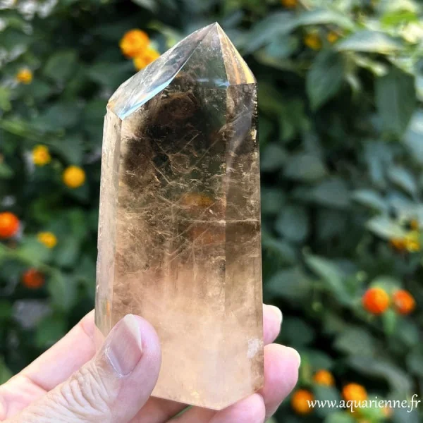 Pointe de quartz fumé à fantômes et inclusions de Madagascar tenue en main, vue de face. Pièce unique.