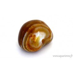 Galet Cornaline (103g)