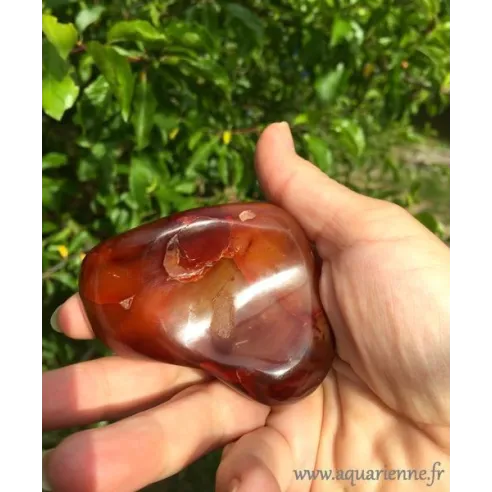 Galet Cornaline 215g