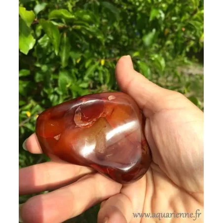 Galet Cornaline 215g