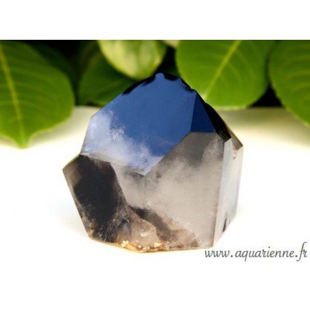 Macle Quartz Fantôme Morion