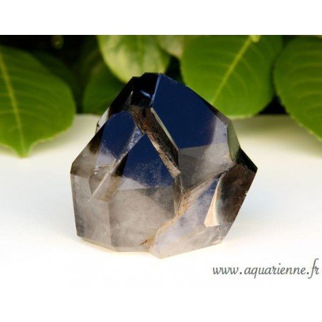 Macle Quartz Fantôme Morion