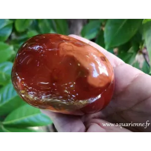 Cornaline de Madagascar pierre naturelle - Aquarienne.fr
