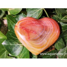 Coeur de Cornaline Pierre de vitalité et confiance ≡ Aquarienne.fr