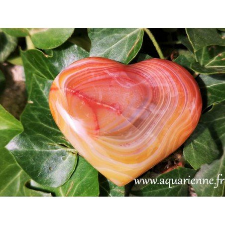 Coeur de Cornaline Pierre de vitalité et confiance ≡ Aquarienne.fr