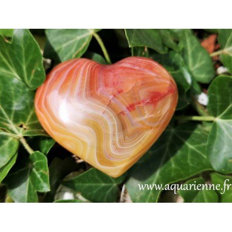 Cornaline pierre naturelle taillée en forme de coeur