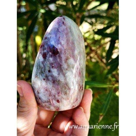 Rubellite de 9 cm décoration lieu personnel ou professionnel