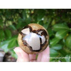 Septaria de Madagascar - Sphère de 55mm de diamètre